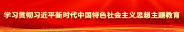 美女日逼视频免费下载学习贯彻习近平新时代中国特色社会主义思想主题教育